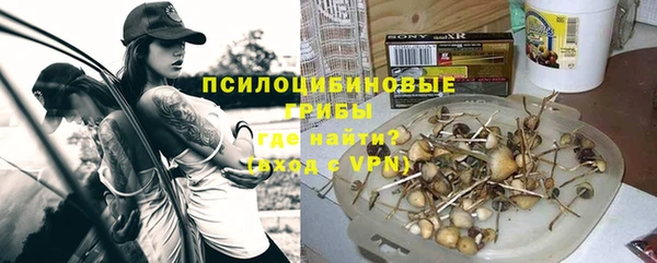 МДПВ Аркадак
