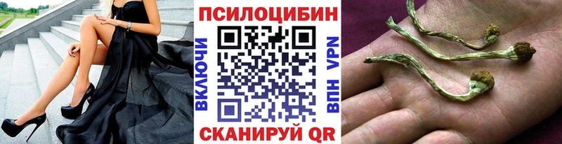 Галлюциногенные грибы мухоморы Полевской